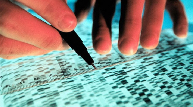 (�������� �� ���� ��� ���� ���� �������� ��� ������� (�����