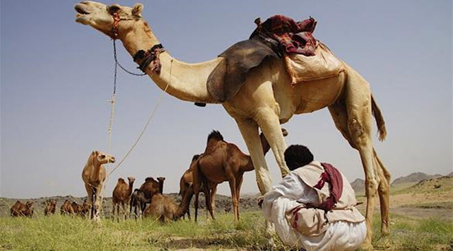 ���� ������ ��� ����� �� ����� ������ ������ ���� ������� ����� ������ �������� ����� ��� �����