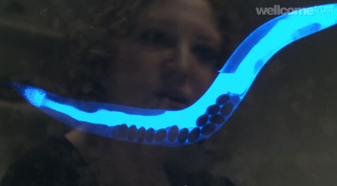 ����� ������ ���� ��� ������ �����