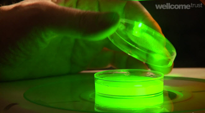 ������ �� ���� ������