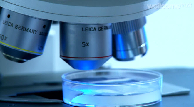 ������ �� ���� ������