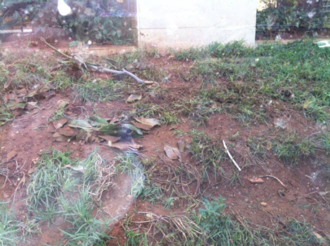 ���� ���� ������ ���� ������� �� ����� ������