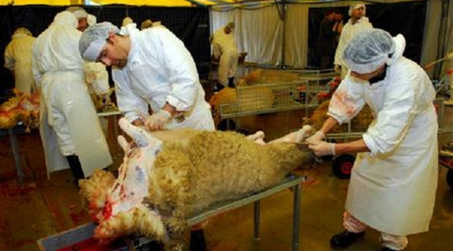 (��� ��� ��������� ��� ����� �� �������� (�����