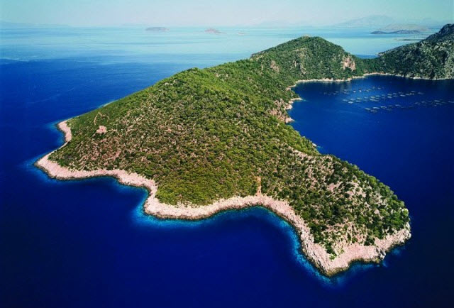 �� ���� ����� ������ ��� �������� �� ������� �� ����� ������� � 5 ������ ���� 