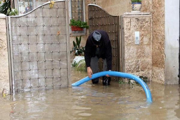 �� ������ ���� ���� ���� �������