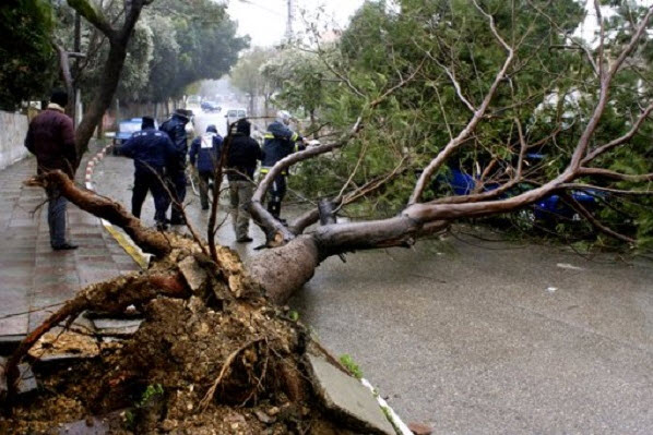 ����� ������� ���� ���� ���� �� �����.. ����� ���� �� �����