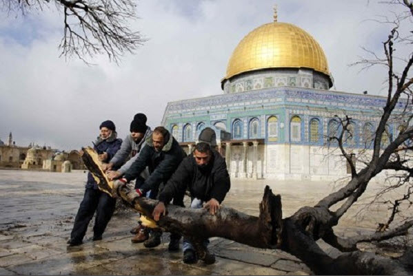 ����� ������ ������ ���� ������ ���� ������� ������