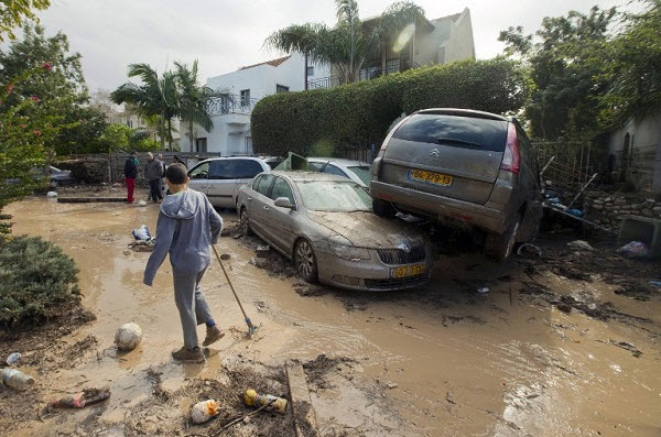 ���� ���� �� ������� ����