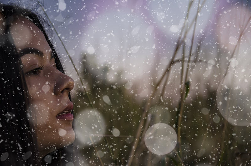 ������ �� ������